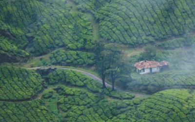 best hill stations in South India