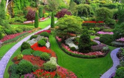 Ooty Botanical Gardens